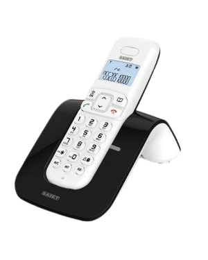 Saiet SLIDE Telefono DECT Identificatore di chiamata Nero, Bianco