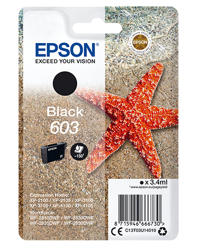 Epson Singlepack Black 603 Ink