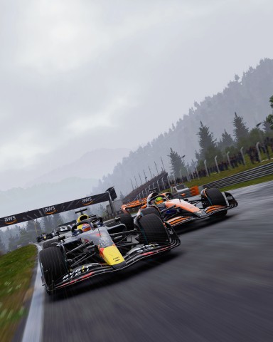 Electronic Arts F1 24 Standard PlayStation 4