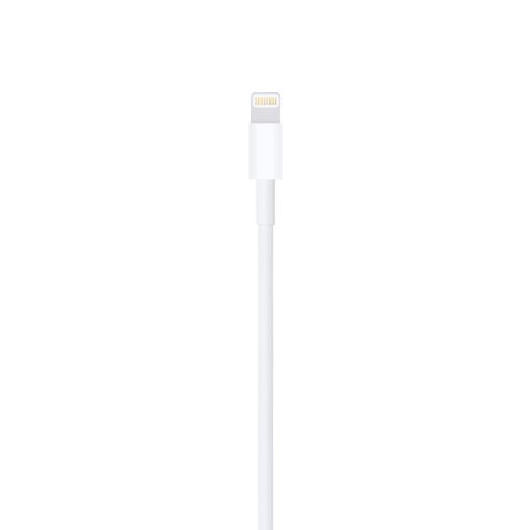 Apple Cavo da Lightning a USB (1 m)