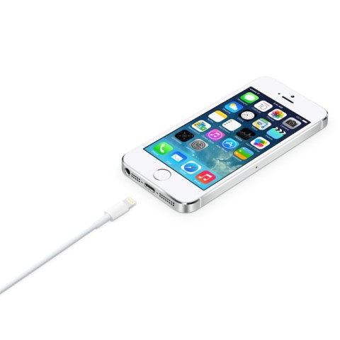 Apple Cavo da lightning a USB 2mt