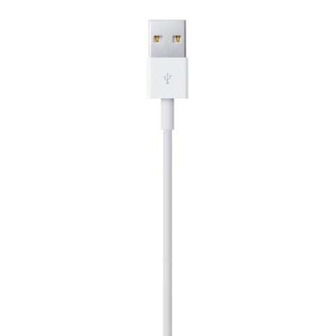 Apple Cavo da lightning a USB 2mt