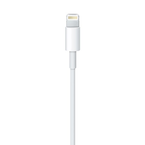 Apple Cavo da lightning a USB 2mt