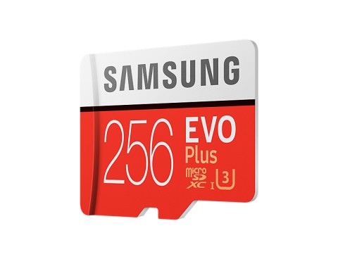 Samsung MB-MC256G 256 GB MicroSDXC UHS-I Classe 10