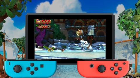 Nintendo Donkey Kong Country: Tropical Freeze