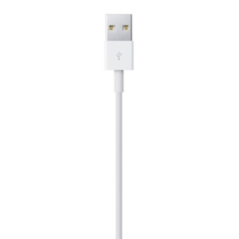 Apple Cavo da lightning a USB 0.5mt