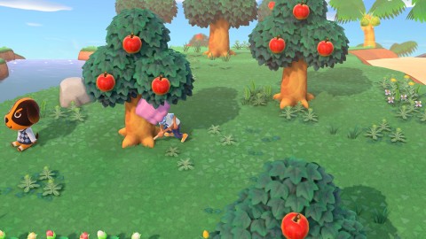 Nintendo Animal Crossing: New Horizons Standard Inglese, ITA Nintendo Switch