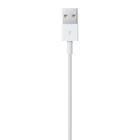 Apple Cavo da lightning a USB 1mt