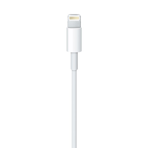 Apple Cavo da lightning a USB 1mt