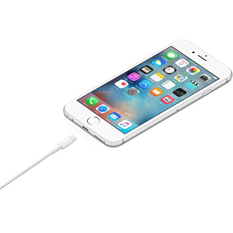 Apple Cavo da lightning a USB 1mt