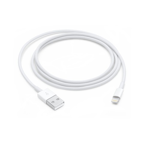 Apple Cavo da lightning a USB 1mt