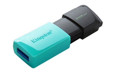 Kingston Technology DataTraveler 256GB USB3.2 Gen1 Exodia M (Nero + Verde ottanio)