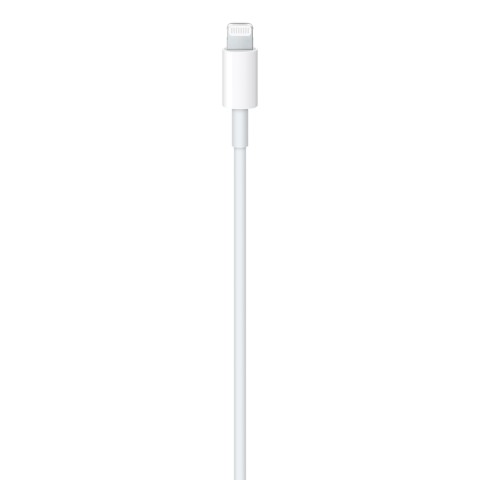 Apple Cavo da USB-C a lightning 1mt