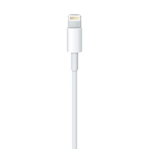 Apple Cavo da lightning a USB 0.5mt