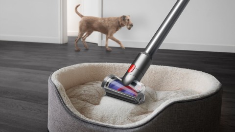 Dyson V15 Detect Absolute aspirapolvere senza filo Nichel, Acciaio inox, Giallo Senza sacchetto