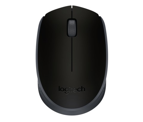 Logitech M170