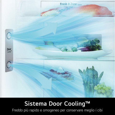 LG GTBV36PZGKD Frigorifero doppia porta 70cm, Classe E, 395L, Door & Linear Cooling, Inox