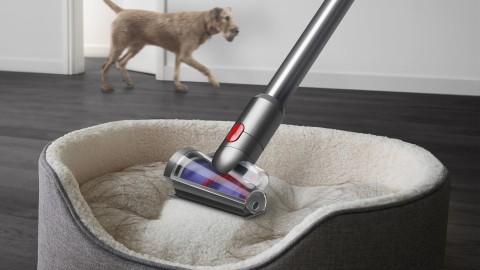 Dyson V12 Detect Slim Absolute aspirapolvere senza filo Nichel, Giallo Senza sacchetto