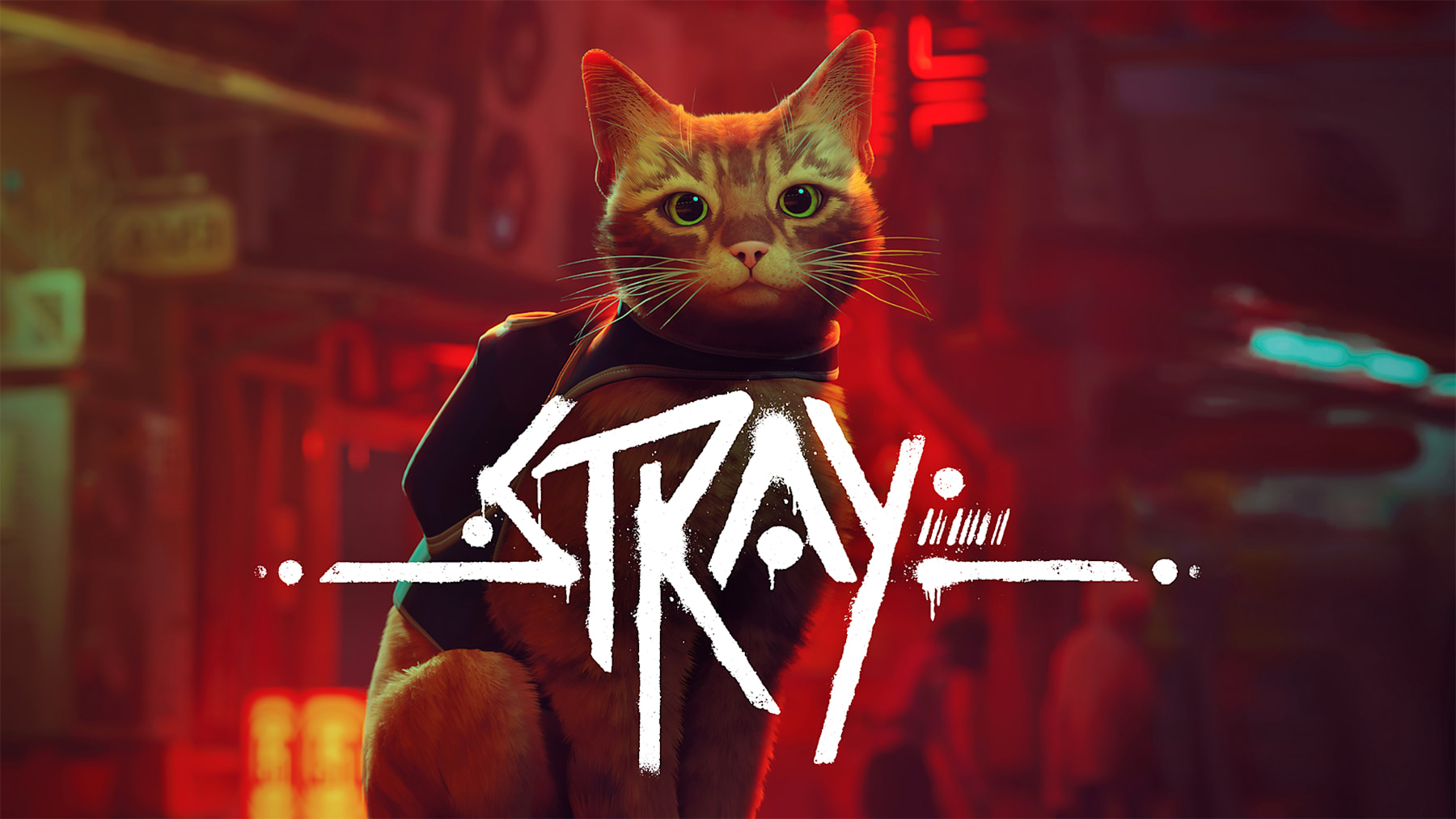 Take-Two Interactive Stray Standard Cinese semplificato, Cinese tradizionale, Tedesca, DUT, Inglese, Francese, ITA, Giapponese, Coreano, Portoghese, Russo Nintendo Switch